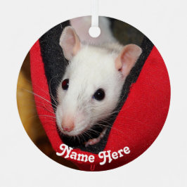 Personalisierte Extravagante Ratte Ornament Aus Metall