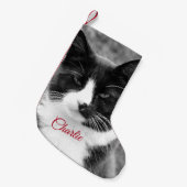 Personalisierte Ferien bei Katzen oder Hunden Kleiner Weihnachtsstrumpf (Vorderansicht (hängend))