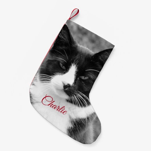 Personalisierte Ferien bei Katzen oder Hunden Kleiner Weihnachtsstrumpf (Vorderansicht (hängend))