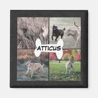 Personalisierte Foto für Hunde aus schwarzem Leder Magnet