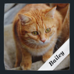 Personalisierte Fotomodelle für Heimtiere Katze Halstuch<br><div class="desc">Dieses Design kann in dem Bereich personalisiert werden, der durch das Ändern des Fotos und/oder Textes zur Verfügung gestellt wird. Oder Sie können es anpassen, indem Sie den Mausklick auswählen, um weitere Optionen anzupassen und die Farbe, den Hintergrund, den Text, die Textfarbe oder den Textstil zu löschen oder zu ändern,...</div>