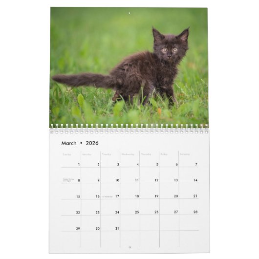 Personalisierte Funny Cats Kackend Kalender 2026 (Mär 2026)