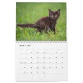 Personalisierte Funny Cats Kackend Kalender 2026 (Mär 2027)