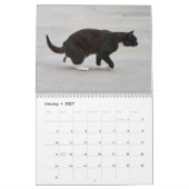 Personalisierte Funny Cats Kackend Kalender 2026 (Jan 2027)