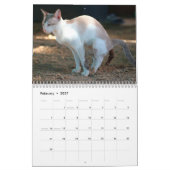 Personalisierte Funny Cats Kackend Kalender 2026 (Feb 2027)