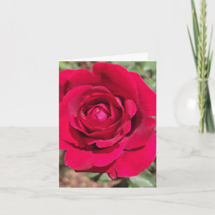 Personalisierte Grußkarte mit roter Rose Karte