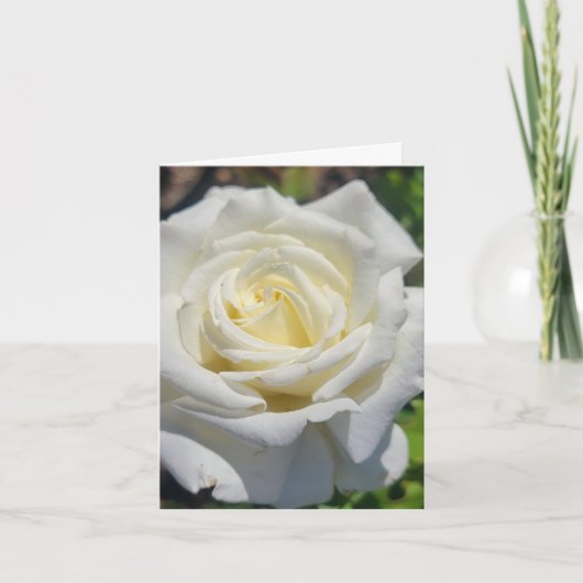 Personalisierte Grußkarte "White Rose" Karte (Vorderseite)