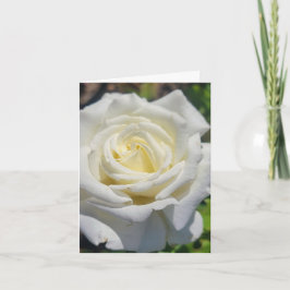Personalisierte Grußkarte "White Rose" Karte