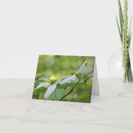 Personalisierte Hartriegelblüten  (Vorderseite)