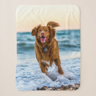 Personalisierte Haustier-Foto-Andenken Geschenkide Sherpadecke
