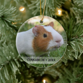 Personalisierte Haustiere Guinea Foto Weihnachtsba Keramikornament