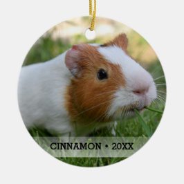 Personalisierte Haustiere Guinea Foto Weihnachtsba Keramikornament