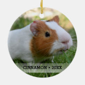 Personalisierte Haustiere Guinea Foto Weihnachtsba Keramikornament (Hinten)