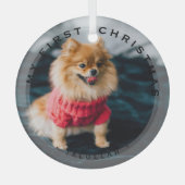 Personalisierte Haustiere mein erstes Weihnachtsgl Ornament Aus Glas (Vorderseite)