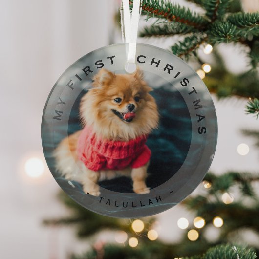 Personalisierte Haustiere mein erstes Weihnachtsgl Ornament Aus Glas