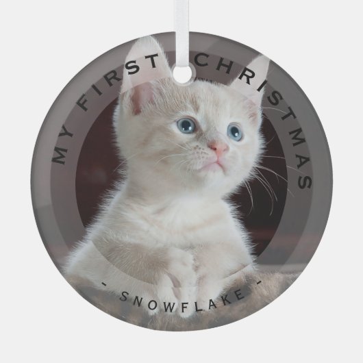 Personalisierte Haustiere mein erstes Weihnachtsgl Ornament Aus Glas (Vorderseite)