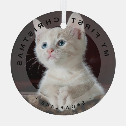 Personalisierte Haustiere mein erstes Weihnachtsgl Ornament Aus Glas (Rückseite)