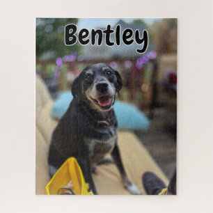 Personalisierte Haustierfotos Vorlage Puzzle