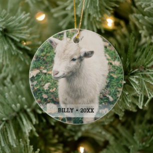 Personalisierte Hausziege Foto Name Weihnachtsbaum Keramik Ornament