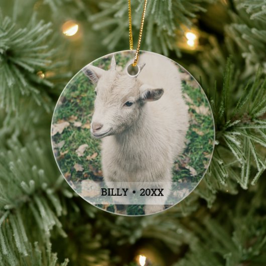 Personalisierte Hausziege Foto Name Weihnachtsbaum Keramik Ornament (Baum)