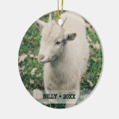 Personalisierte Hausziege Foto Name Weihnachtsbaum Keramik Ornament (Links)