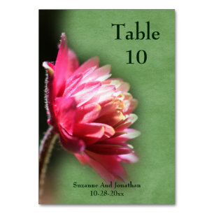 Personalisierte Hochzeit in der Roten Blume Tischnummer