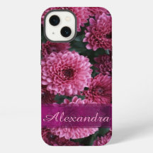 Personalisierte hübsch-rosa Chrysanthemum-Blume
