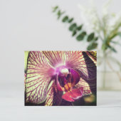 Personalisierte hübsche Orchideenblume Postkarte (Stehend Vorderseite)
