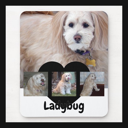Personalisierte Hunde-Foto-Collage mit individuell Mousepad