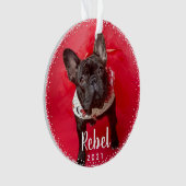 Personalisierte Hunde Holiday Foto Typografie Ornament (Vorderseite)