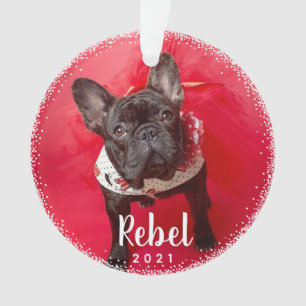 Personalisierte Hunde Holiday Foto Typografie Ornament