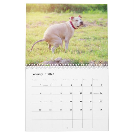 Personalisierte Hunde Kackend Kalender 2024 (Feb 2026)
