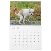 Personalisierte Hunde Kackend Kalender 2024 (Mär 2027)