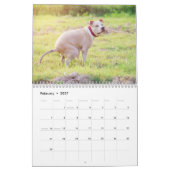 Personalisierte Hunde Kackend Kalender 2024 (Feb 2027)