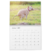 Personalisierte Hunde Kackend Kalender 2025 (Jan 2027)