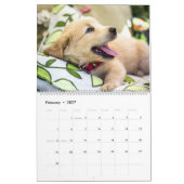 Personalisierte Hunde Lover Fotos 2026 Kalender (Feb 2027)