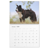 Personalisierte Hunde Lover Fotos 2026 Kalender (Jan 2027)