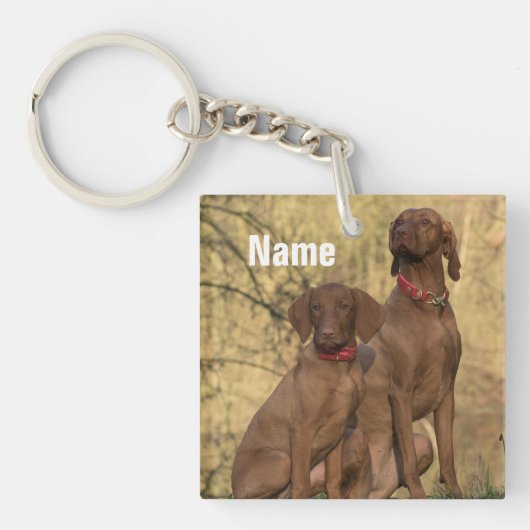Personalisierte Hunde von Vizsla Schlüsselanhänger (Vorderseite)