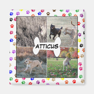 Personalisierte HundeFoto-Tatze druckt Instagram Magnet