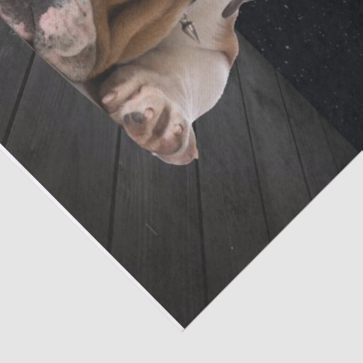 Personalisierte Hundequilt-Blanket, Bulldog-Gute N Seidenpapier (Detail)