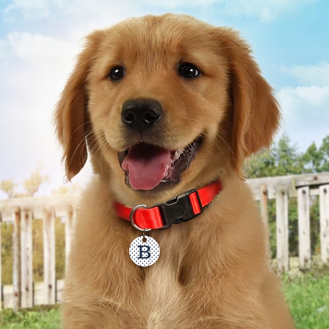 Personalisierte ID-Markierung für Blue Stars Haustiermarke (Von Creator hochgeladen)