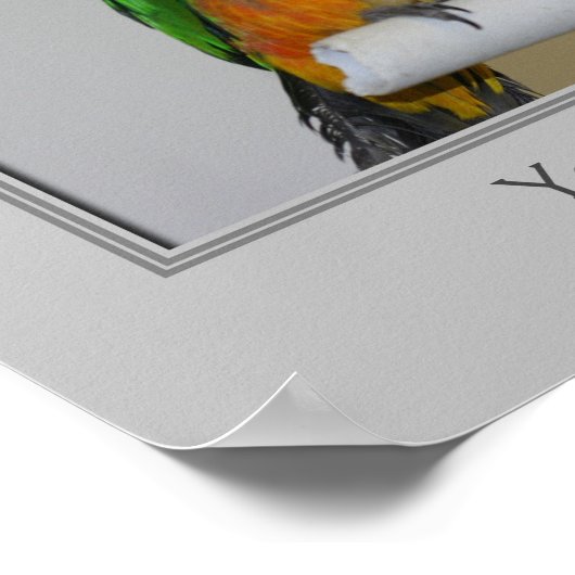 Personalisierte Kaiksittiche Poster (Ecke)