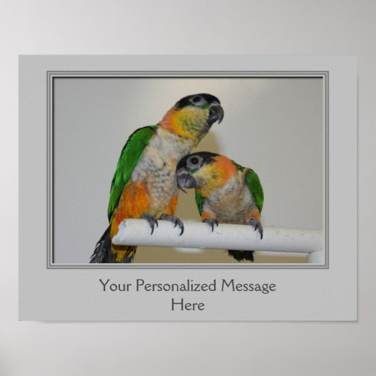 Personalisierte Kaiksittiche Poster (Vorne)