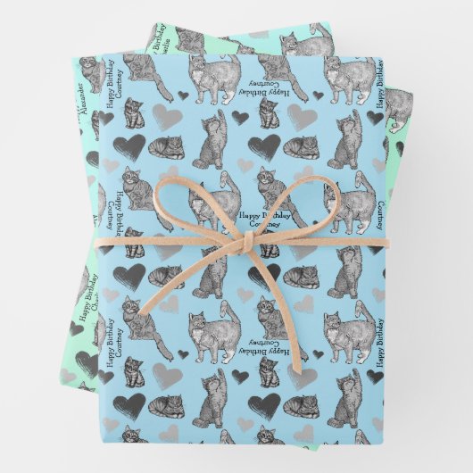Personalisierte Katze und Geschenkpackung in 3 Far Geschenkpapier Set (Beispiel)