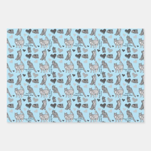 Personalisierte Katze und Geschenkpackung in 3 Far Geschenkpapier Set (Vorderseite)