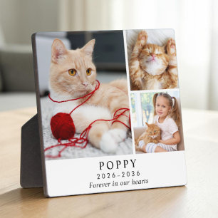 Personalisierte Katzen-Gedenk-Fotocollage Fotoplatte