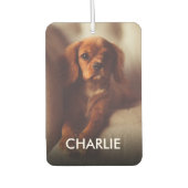 Personalisierte Katzen Haustiere Foto und Name Autolufterfrischer (Vorderseite)