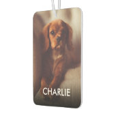 Personalisierte Katzen Haustiere Foto und Name Autolufterfrischer (Links)