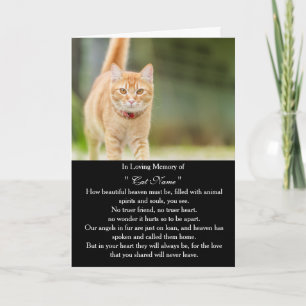 Personalisierte Katzen-Mitgefühlskarte mit Foto - Karte