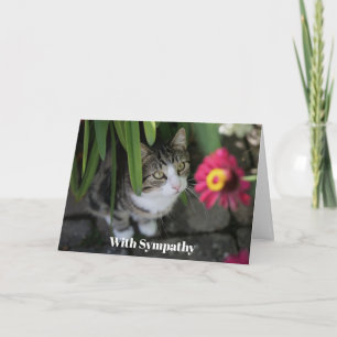 Personalisierte Katzen-Trostkarte, Haustier-Gedenk Karte